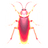 cockroach