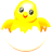 hatchingChick