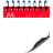 spiralCalendar
